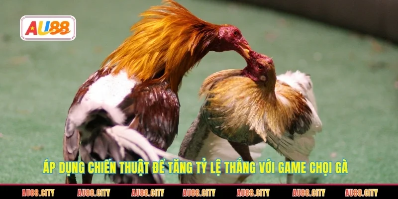 Áp dụng chiến thuật để tăng tỷ lệ thắng với game chọi gà
