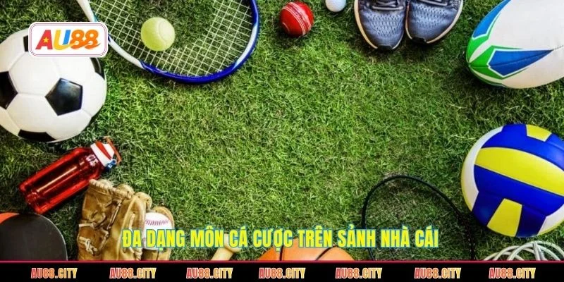 Đa dạng môn cá cược trên sảnh nhà cái